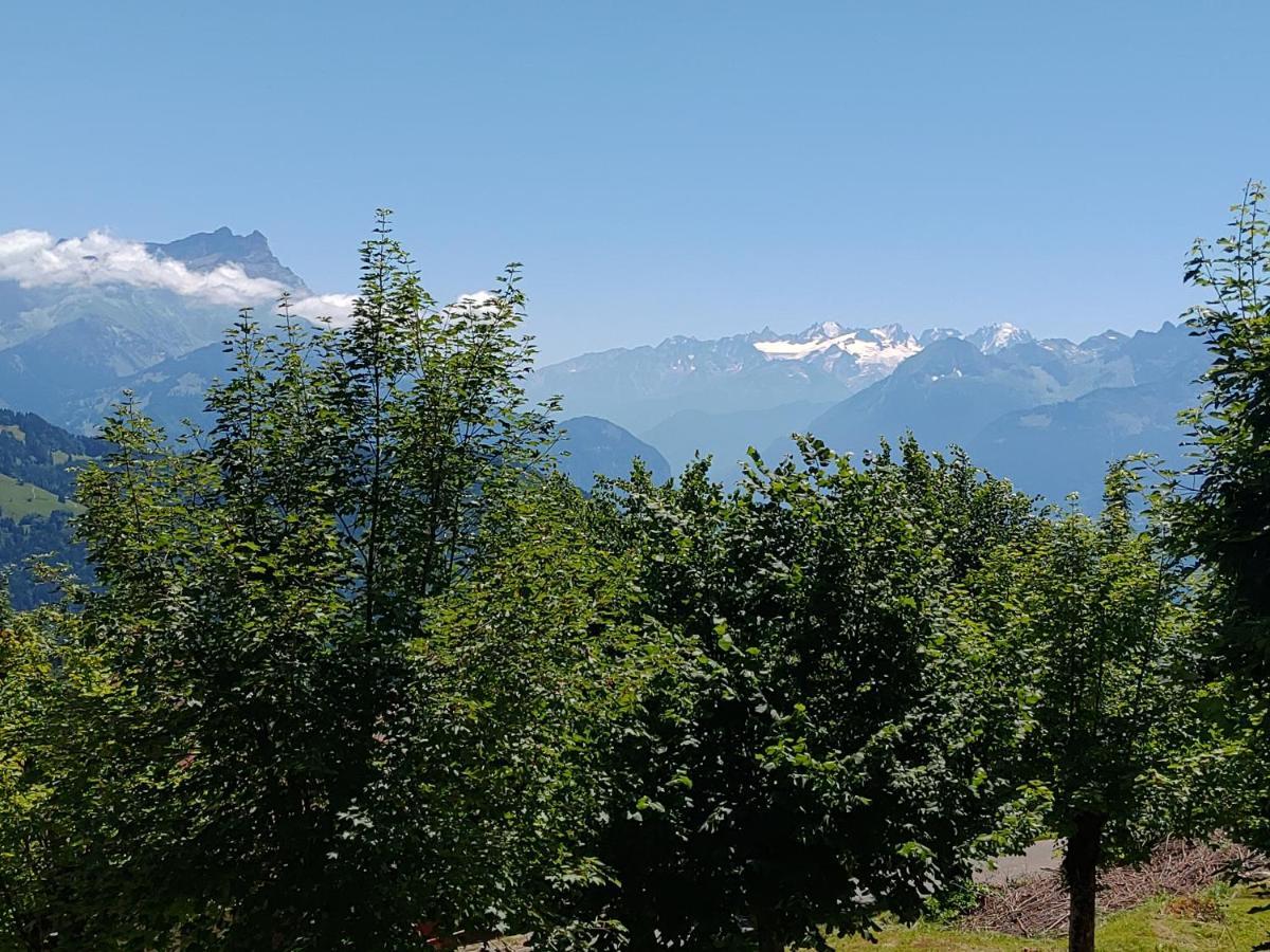 Studio Au Calme, Vue Imprenable Sur La Vallee Apartment Leysin Bagian luar foto