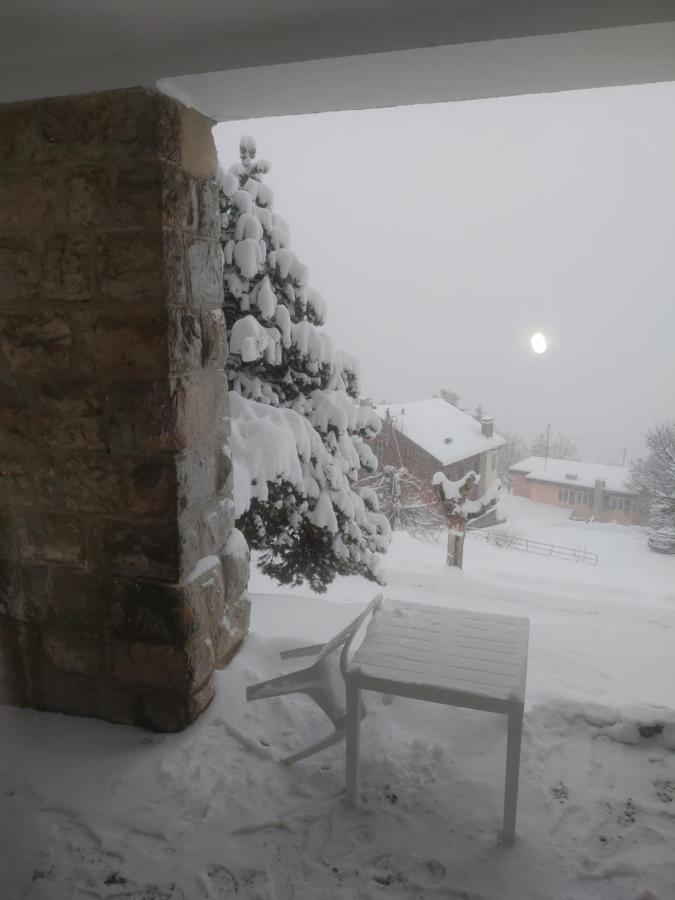 Studio Au Calme, Vue Imprenable Sur La Vallee Apartment Leysin Bagian luar foto