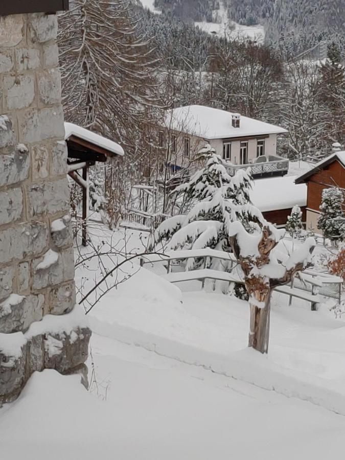 Studio Au Calme, Vue Imprenable Sur La Vallee Apartment Leysin Bagian luar foto