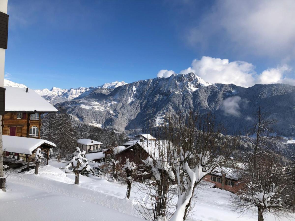 Studio Au Calme, Vue Imprenable Sur La Vallee Apartment Leysin Bagian luar foto