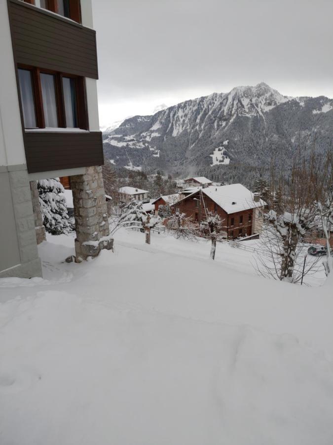 Studio Au Calme, Vue Imprenable Sur La Vallee Apartment Leysin Bagian luar foto