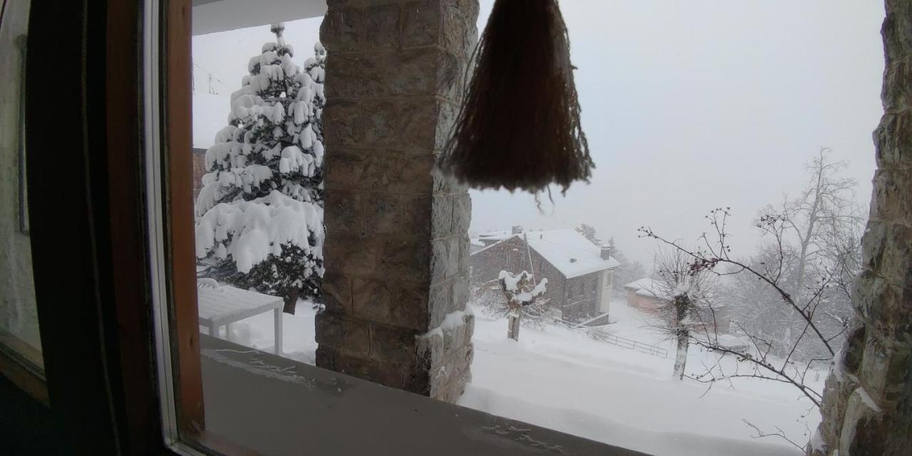 Studio Au Calme, Vue Imprenable Sur La Vallee Apartment Leysin Bagian luar foto