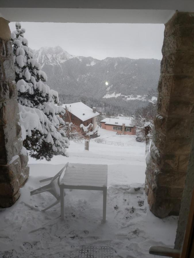 Studio Au Calme, Vue Imprenable Sur La Vallee Apartment Leysin Bagian luar foto