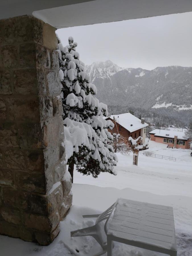 Studio Au Calme, Vue Imprenable Sur La Vallee Apartment Leysin Bagian luar foto